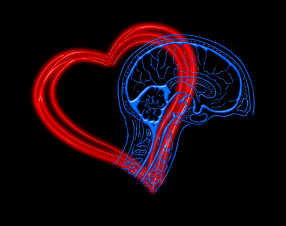 Elettrodi coltivati nel cervello e nel cuore