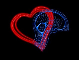 Elettrodi coltivati nel cervello e nel cuore
