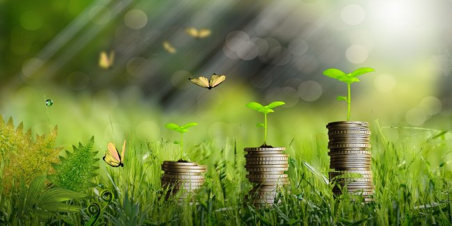 Green economy, via libera al nuovo quadro per gli aiuti di Stato