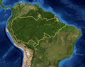 Amazzonia: record di deforestazione a febbraio (+62%)
