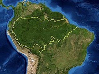 Amazzonia: record di deforestazione a febbraio (+62%)