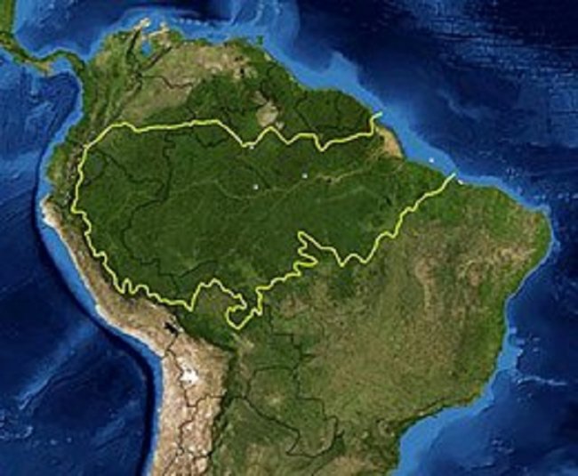 Amazzonia: record di deforestazione a febbraio (+62%)