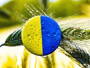 Varsavia vieta le importazioni di grano dall’Ucraina
