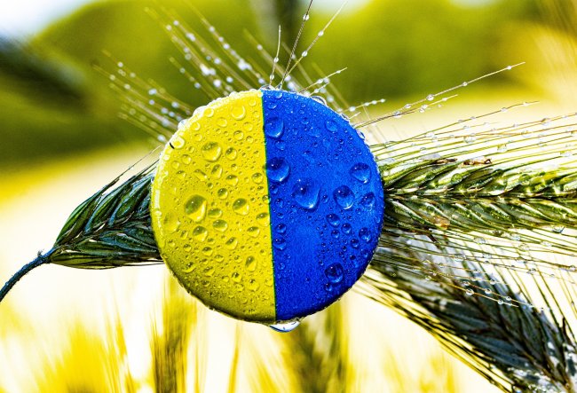 Varsavia vieta le importazioni di grano dall’Ucraina