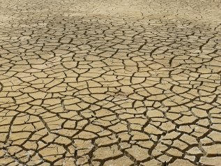 Il 40 per cento della Terra potrebbe cambiare zona climatica entro il 2100