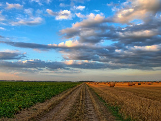 Ecco come varierà la spesa per l'agricoltura e le politiche di coesione