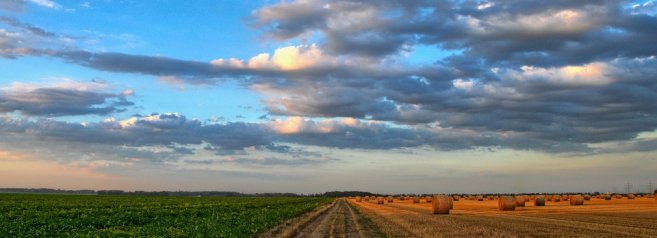 Ecco come varierà la spesa per l'agricoltura e le politiche di coesione