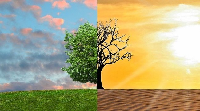 L'invenzione che trasforma la sabbia del deserto in terreno coltivabile