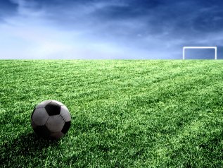 Il pianeta perde l’equivalente di un campo di calcio ogni 5 secondi