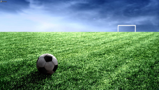 Il pianeta perde l’equivalente di un campo di calcio ogni 5 secondi