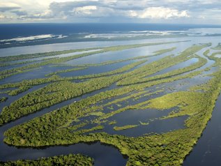 Rallenta di un terzo la deforestazione dell’Amazzonia