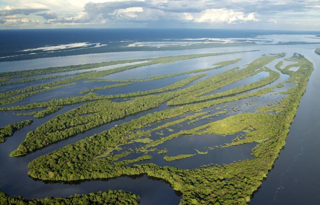 Rallenta di un terzo la deforestazione dell’Amazzonia