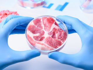 Il problema sono gli allevamenti intensivi o la carne coltivata?