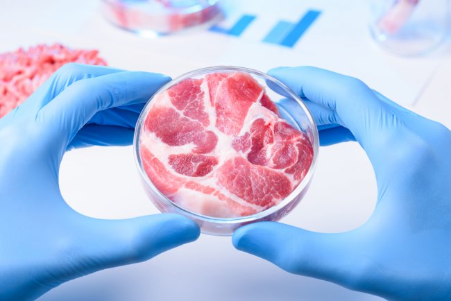 Il problema sono gli allevamenti intensivi o la carne coltivata?