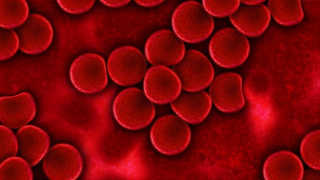 Plasma, abolire il divieto di retribuire i donatori è la soluzione?