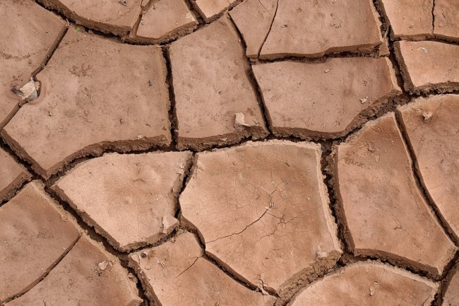 Guterres: “L’umanita è sulla sedia elettrica”