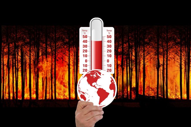 Gli incendi in un anno hanno prodotto CO2 quanto 10 milioni di auto