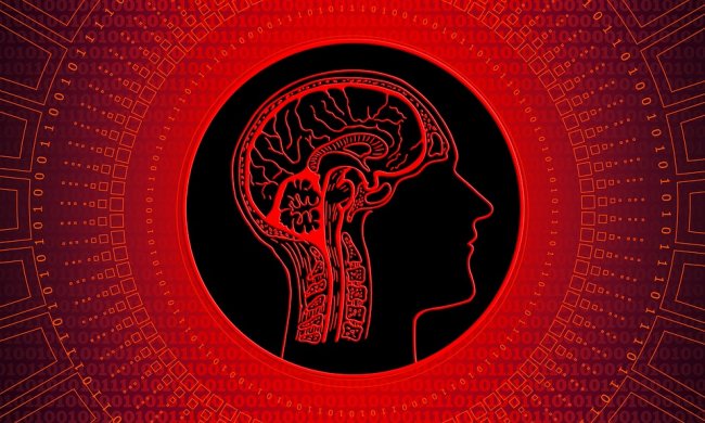 La fuga dei cervelli accelera. Ma forse non è un problema