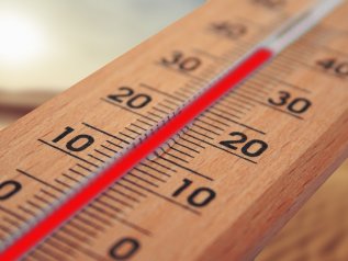 La temperatura massima a cui il corpo umano può sopravvivere