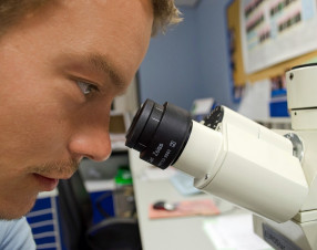 Il mercato delle pubblicazioni scientifiche è oligopolistico