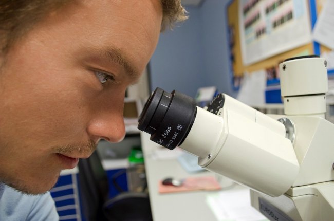 Il mercato delle pubblicazioni scientifiche è oligopolistico