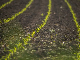 La Francia è il Paese che ha ricevuto la maggior quota dei fondi europei