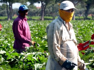 Rimesse dei lavoratori stranieri: defluiti dall’economia italiana 8,2 mld