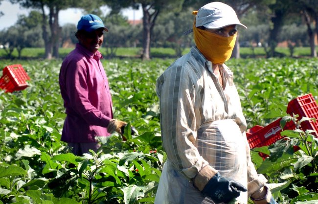 Rimesse dei lavoratori stranieri: defluiti dall’economia italiana 8,2 mld