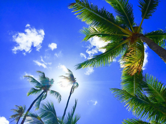 Il paradosso delle Hawaii