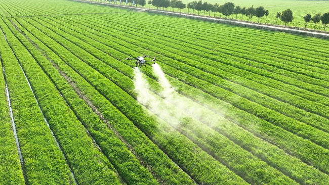 Bayer ammette: “Troppe cause legali per il glifosato”
