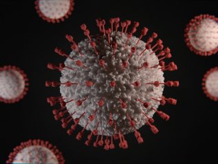 Chan: “Il Covid è nato in laboratorio”. E chiama in causa anche gli Usa