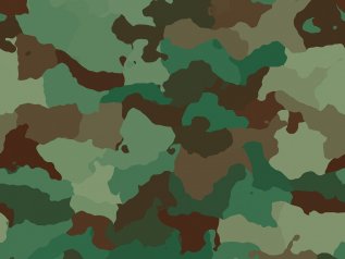 Berlino reintroduce il servizio militare