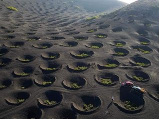 Il caso di Lanzarote
