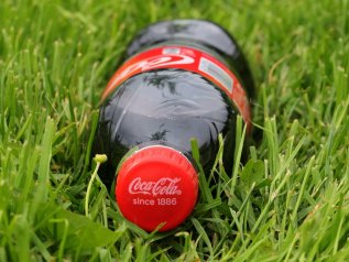 La rivoluzione green ‘cola a picco’
