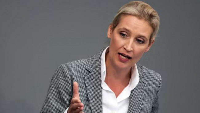 Per i servizi Afd è un partito “incompatibile con la democrazia”