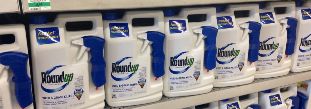 Bayer valuta il fallimento di Monsanto per arginare le cause sul glifosato