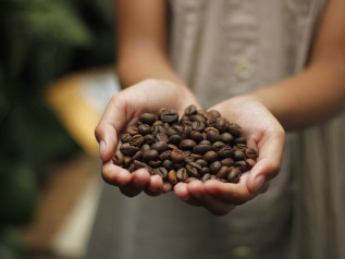 Crisi climatica e caffè: la doppia faccia dell’oro nero
