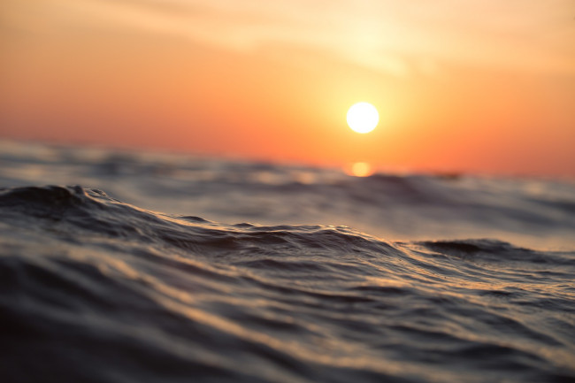 Desertificazione oceanica: raddoppiano le zone senza vita