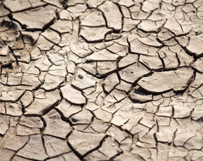 Guerre e clima: come gli eserciti alimentano la crisi che li genera