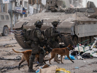 Cani d’attacco contro i civili: l’arma (europea) che Israele usa a Gaza