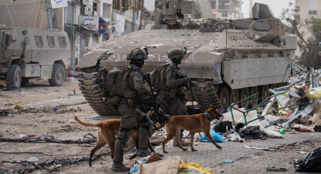 Cani d’attacco contro i civili: l’arma (europea) che Israele usa a Gaza