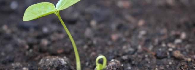 I contadini senza terra che ribaltano la teoria dei diritti di proprietà