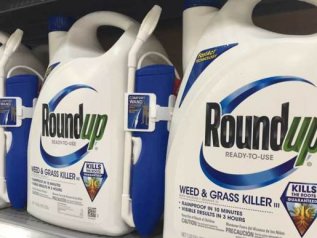 Glifosato, Monsanto ha insabbiato le prove sui rischi per la salute?