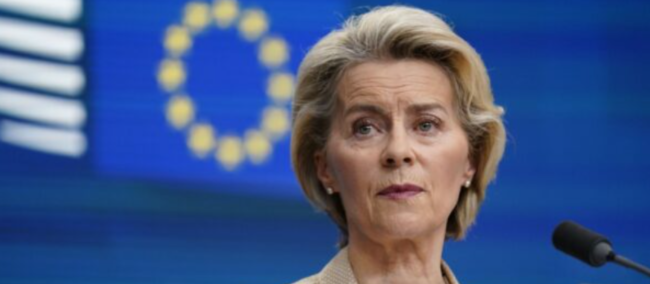 Aereo di von der Leyen costretto ad un atterraggio di emergenza