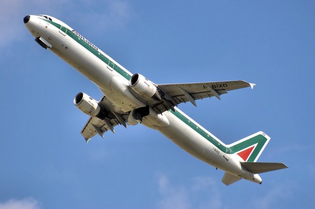 Toninelli: "Alitalia tornerà compagnia di bandiera"