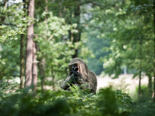 La spesa militare italiana vola al 2% del Pil, ma nessuno spiega come