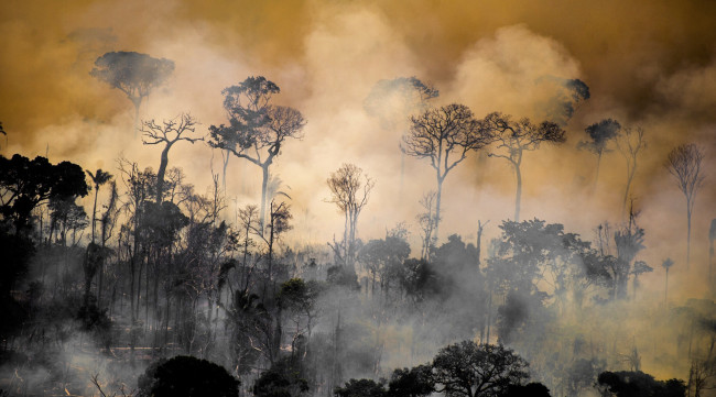 La foresta tropicale più grande del mondo è una delle aree più inquinate