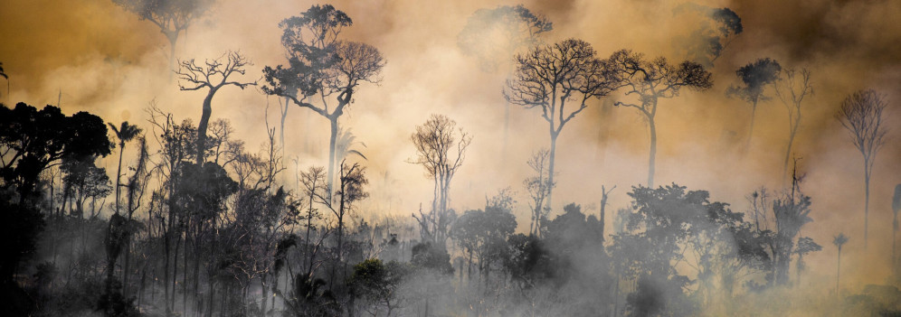 La foresta tropicale più grande del mondo è una delle aree più inquinate