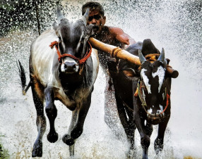 Nuova Delhi diventa la quarta economia mondiale