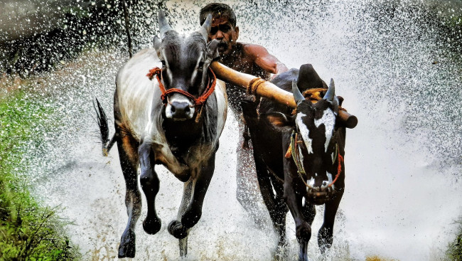 Nuova Delhi diventa la quarta economia mondiale